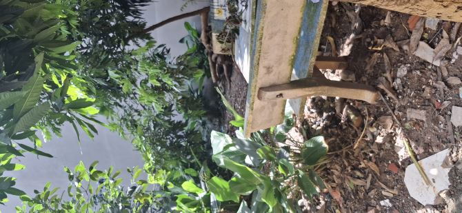 Đất lô góc 52m2, Liên Mạc, Bắc Từ Liêm, ô tô vào đất, ngõ thông, mặt tiền rộng 7m