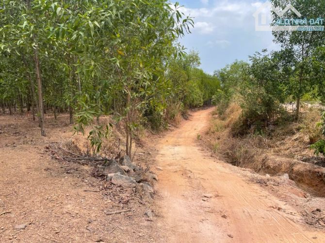 Bán lô đất gần 14000m2 tại Bình Minh, Trảng Bom, Đồng Nai, giá chỉ 10 tỷ 400.
