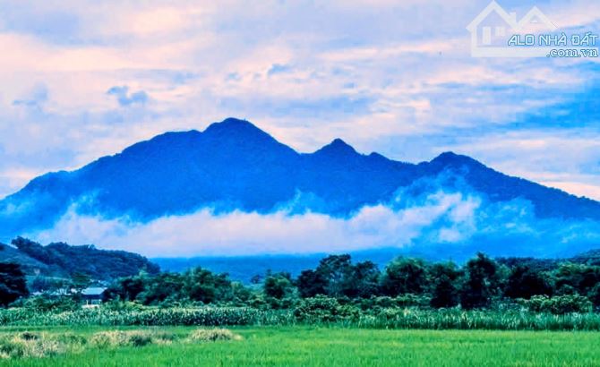 Bán đất Tản Lĩnh, Suối Hai, gần Yên Bài, Vườn QG Ba Vì, 319m, vuông, oto, 2.06tỷ