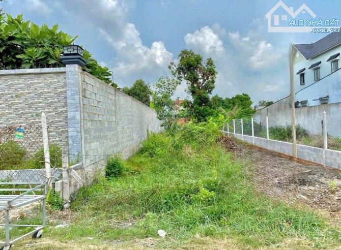 Chính Chủ Bán Gấp MT Kinh Doanh 240m2 (8x30) Giá 1Ty100