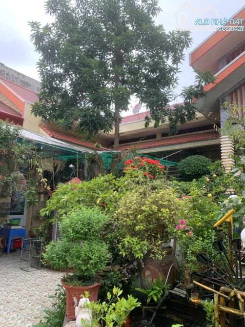 Cho thuê đất dài hạn 50 năm hoặc tìm người hợp tác đầu tư chung tại Chiềng An, Sơn La