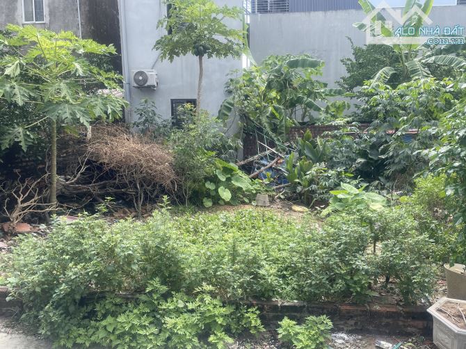 🔥 CHỈ NHÔ 3 TỶ - ĐẤT ĐẸP 48M² – Ô TÔ NGỦ TRONG ĐẤT – NAM HỒNG, ĐÔNG ANH.