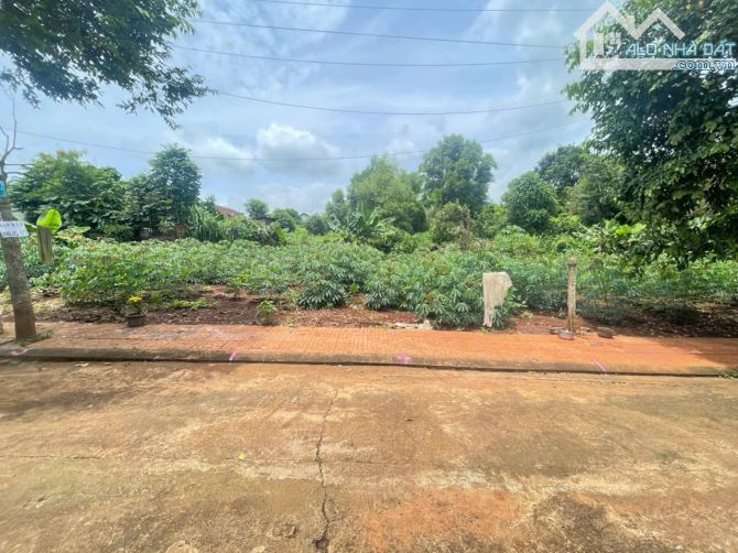 Bán đất ngay bệnh viên vùng tây nguyên