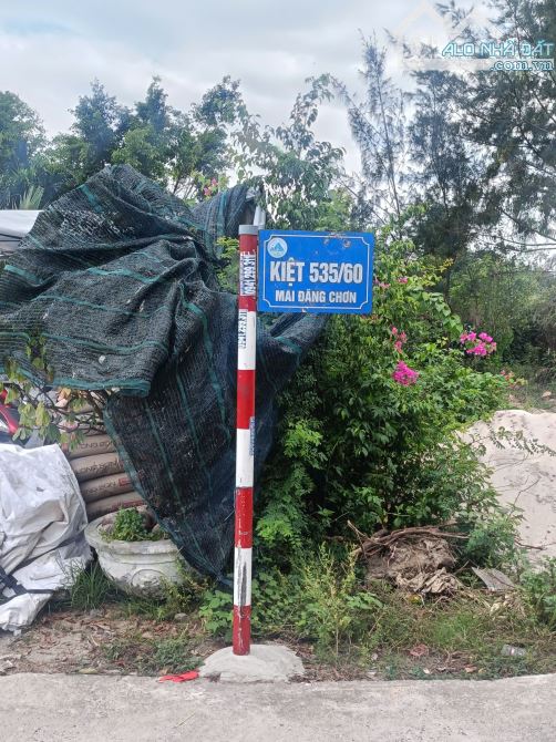 💝 ĐẤT KIỆT Ô TÔ MAI ĐĂNG CHƠN – THÔNG NAM KỲ KHỞI NGHĨA – GẦN LÀNG ĐH 💰 3.6 Tỷ – 139m²