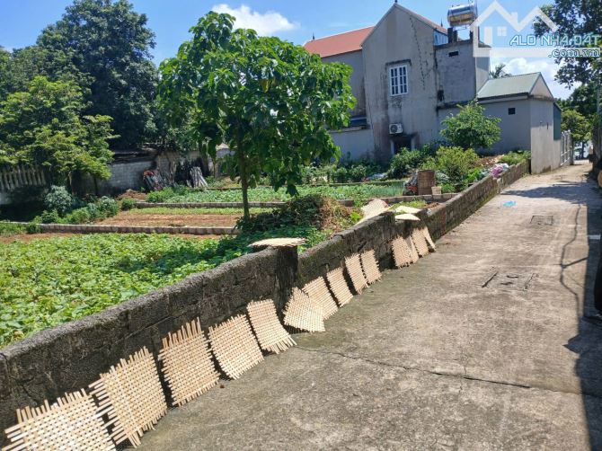 🌿 PHÂN ĐÔI QUÁ XUẤT SẮC 203.9M² – THANH BÌNH, GIÁ CỰC MỀM🌿