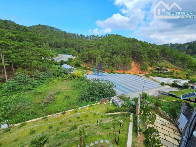 ĐẤT VIEW THÔNG XANH VĨNH VIỄN LỢI HẦM ĐƯỜNG Ô TÔ LỚN HOÀNG HOA THÁM