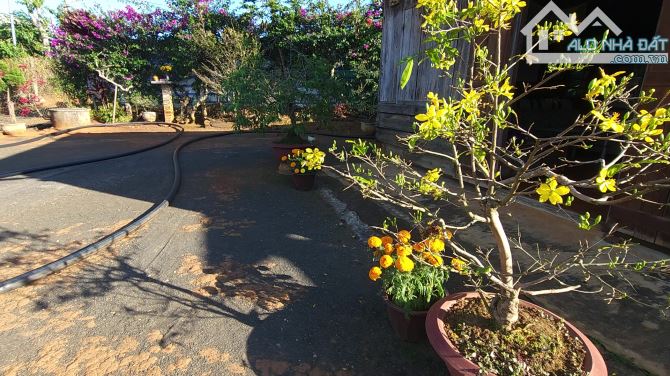 🏡 BÁN LÔ ĐẤT TẶNG NHÀ GỖ – VỀ Ở NGAY 🏡 chỉ hơn 1 tỷ