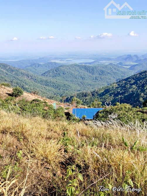 🌿 BÁN KHU NGHỈ DƯỠNG VIEW MÂY – NINH LOAN, LÂM ĐỒNG 🌿