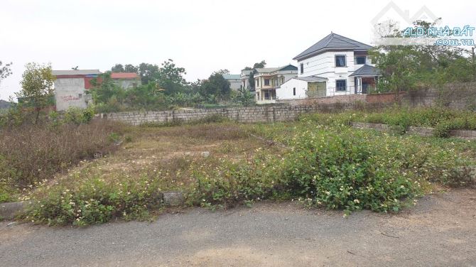Bán đất Thôn 8 – Tân Xã, giá rẻ nhất khu vực
