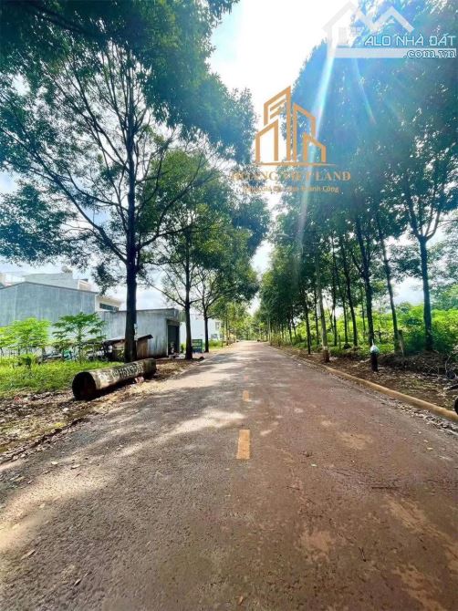 BÁN ĐẤT ĐẸP MẶT TIỀN Y LINH. DT: 5x24M. GIÁ: 2,9 TỶ
