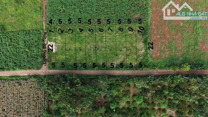🅿️❇️Lốc Cour Đăng hẻm cấp 1 Quốc Lộ đường Qh 10m, Cách Khu đấu giá 500m❇️ - 1