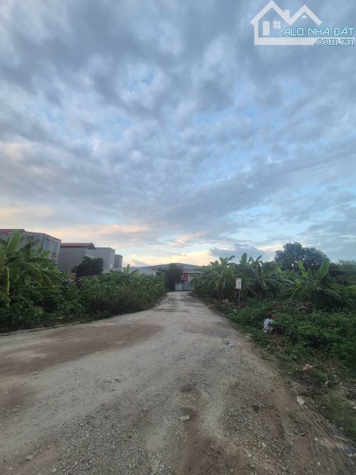 Bán đất đấu giá Xuân ổ B.dt.172m. mt.10,5m. hướng TN. giá:11,5 tỷ - 1