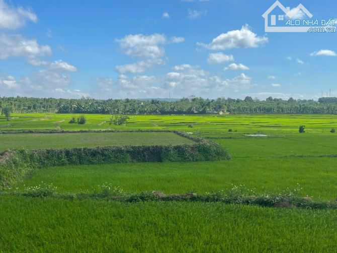🔥🔥 HÓT NHẤT PHƯỜNG KHÁNH XUÂN 🔥🔥 LÔ ĐẤT ĐẸP - GIÁ SIÊU RẺ             🔴 VIEW CÁNH ĐỒN - 1