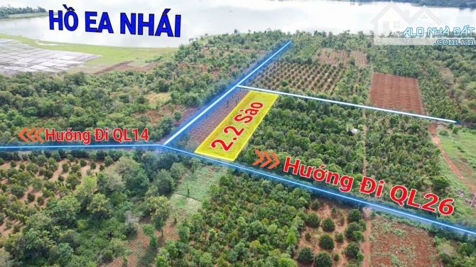 2,1 sào đất km18 Vành đai thông Quốc Lộ 26 qua QL14 kinh doanh tốt 2,5 Tỷ - 1