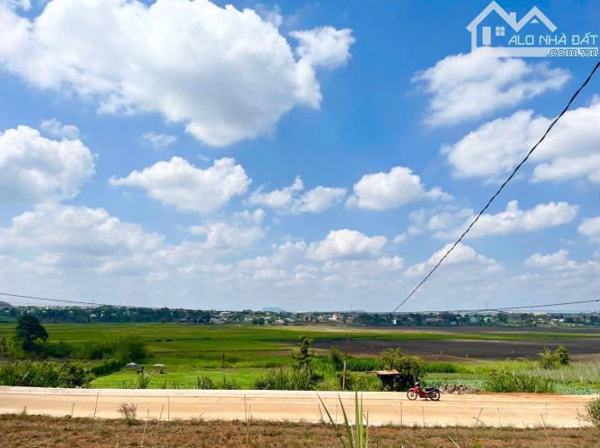 ✨ Đất View Ruộng thích hợp làm nhà vườn P. Pleiku - 1