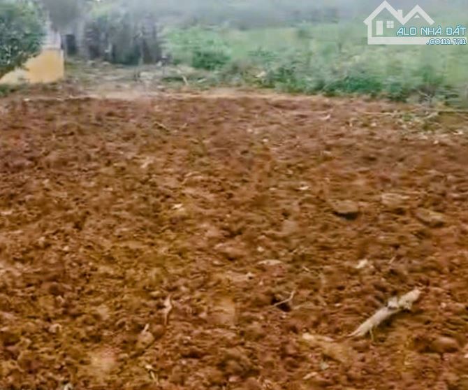 Bán 402m2 đất Tản Lĩnh, chân núi, sát Vườn Quốc gia Ba Vì, trong lành và xanh mát, 2.55tỷ - 1