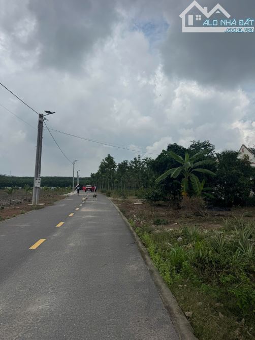 Kẹt tiền bán gấp lô đất sào 2.500m2 mặt tiền đường nhựa lớn tại  xã An Linh. Phú Giáo - 1