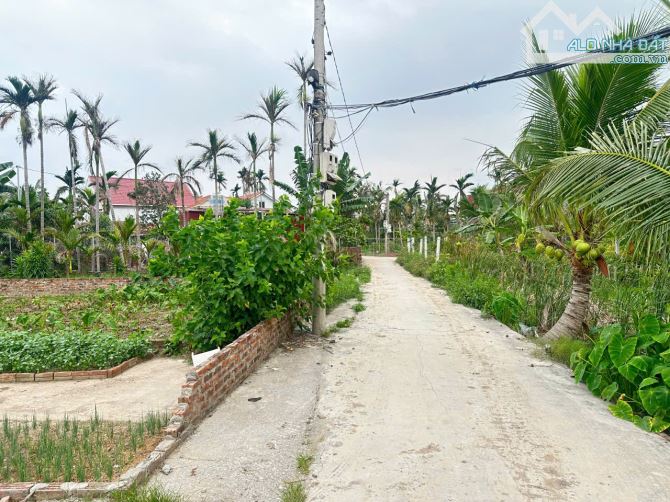 87m2 đất Lão Phong, Tân Phong, Kiến Thụy sát dự án khu thương mại, Logistic Kiến Hải - 1