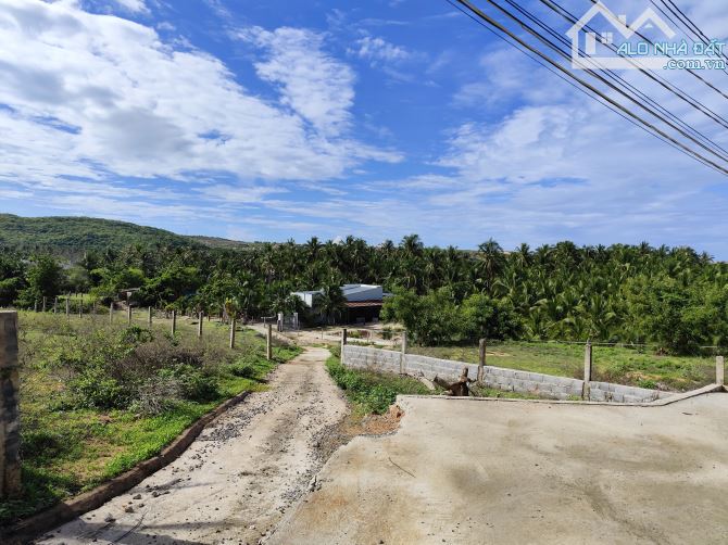 Bán 1000m2 gần ngã tư Thiện Nghiệp - 1