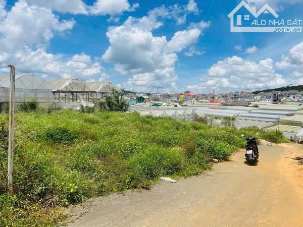 Đất Biệt thự Thái Phiên -  P12 - Đà Lạt. Gía 4,7 tỷ - 209m2 - 1
