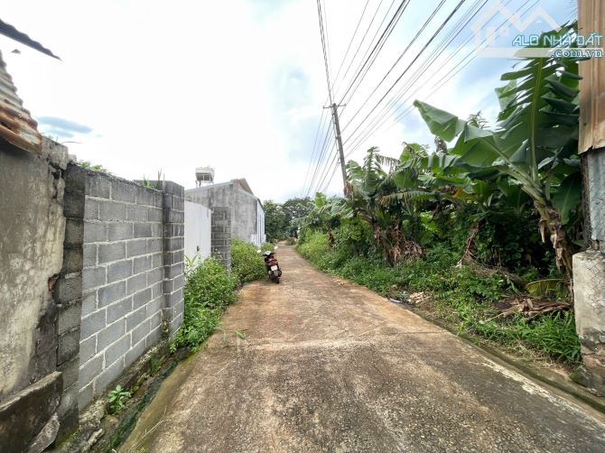 🍓🍓BÁN ĐẤT ĐƯỜNG K THÔN 3 PHẠM NGŨ LÃO - 1