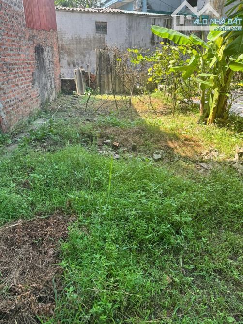 Bán đất 84m² thổ cư gần KCN Nội Bài, Sóc Sơn – Ngõ thông 3.5m – Giá 33 triệu/m² - 1