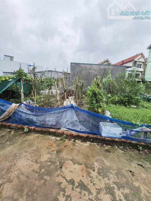 🏡 CHỈ CÒN LẠI MỘT LÔ ĐẤT NHỎ XINH - CƠ HỘI VÀNG TẠI TIỀN PHONG CŨ, MÊ LINH,HÀ NỘI! 🏡 - 1