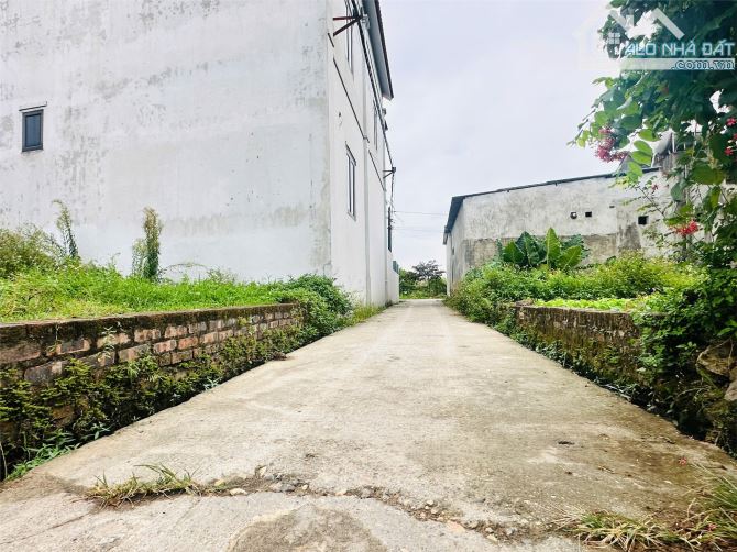 ĐẤT NGON – GIÁ MỀM – CHỐT LIỀN KHÔNG HỐI TIẾC 56m Yên Ninh 2 mặt đường - 1
