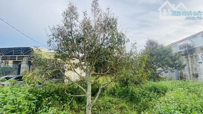 🏡 BÁN ĐẤT MẶT TIỀN 4A HÒA THUẬN – PHƯỜNG TÂN AN ĐĂK LĂK🏡 - 1