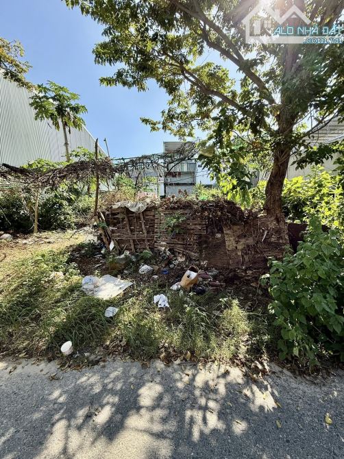🏡 BÁN ĐẤT ĐƯỜNG NGUYỄN BÍNH – PHƯỜNG HÒA MINH, QUẬN LIÊN CHIỂU - 1