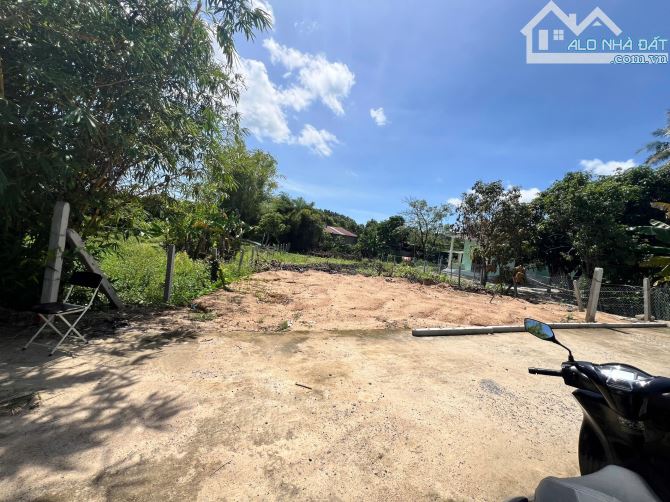 Rẻ Nhất Thị Trường. 7 Triệu 5/m2 Cam Thành Bắc. Cạnh Khu Bàn Cờ. Quy Hoạch An Toàn - 1