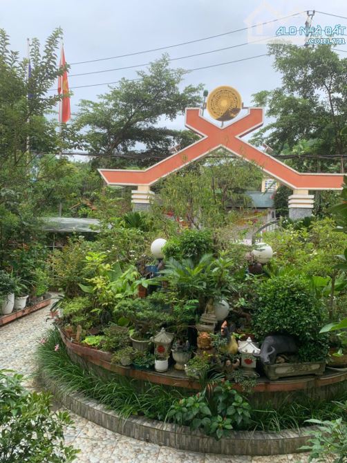 Cho thuê đất dài hạn 50 năm hoặc tìm người hợp tác đầu tư chung tại Chiềng An, Sơn La