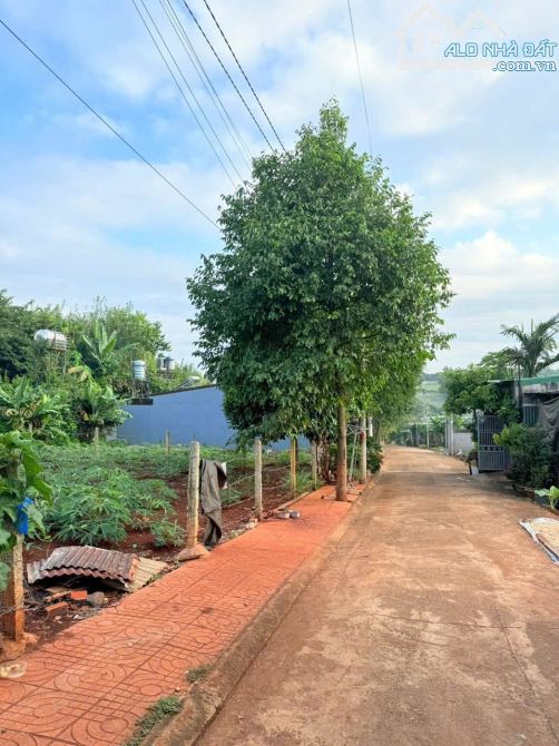 Bán đất ngay bệnh viên vùng tây nguyên - 1