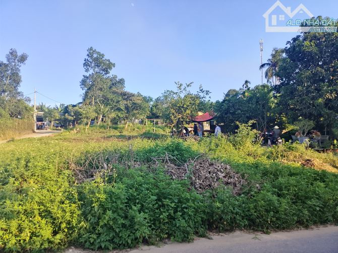 Đất xã xuân phú  tp đà nẵng đường nhựa 330m thổ - 1