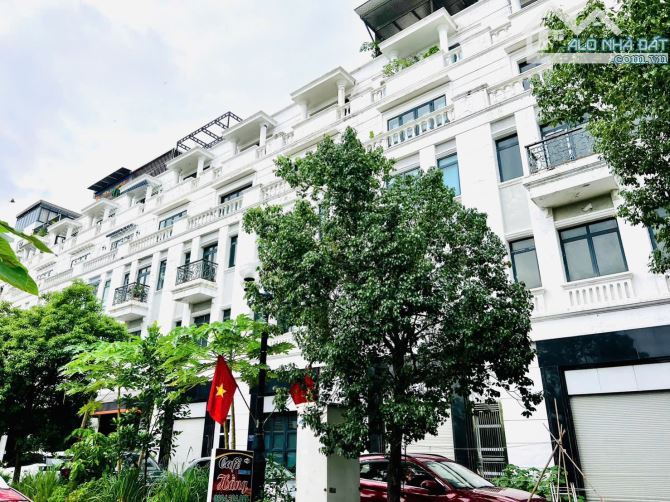 Bán Đất TĐC Vicom Lê Thánh Tông 55m2 ngang 5.5m - 1