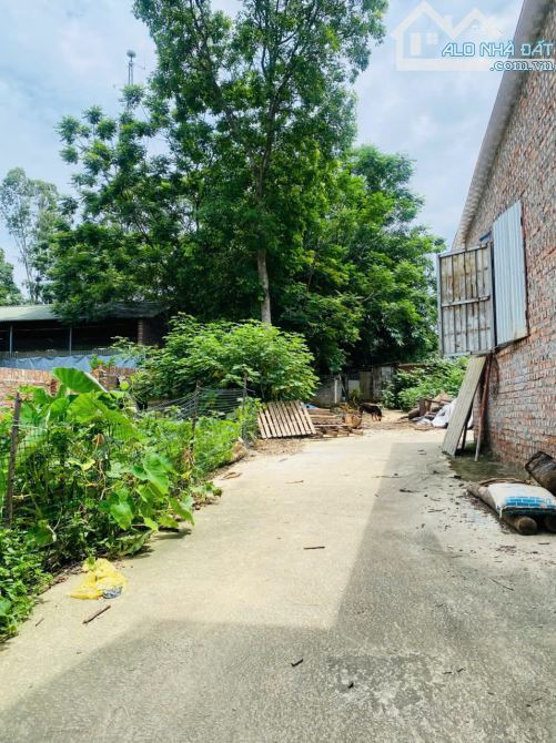 Bán lô đất khu hành chính 16, Làng Bầu, Liên Bảo, Vĩnh Yên - 1