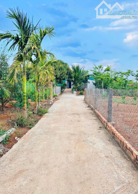 ĐẤT THÔN 4 EAKAO - SAU HỘI TRƯỜNG  l - 1