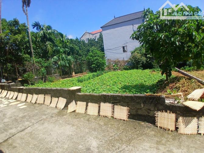 🌿 PHÂN ĐÔI QUÁ XUẤT SẮC 203.9M² – THANH BÌNH, GIÁ CỰC MỀM🌿 - 1