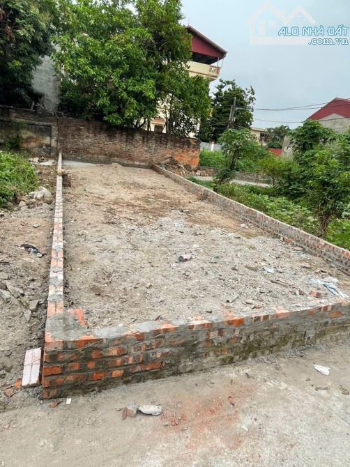 Bán 51m2 đất Ninh Sở - Thường Tín, gần trục chính liên xã Đông Mỹ - Vạn Phúc, tầm tiền hiế - 1