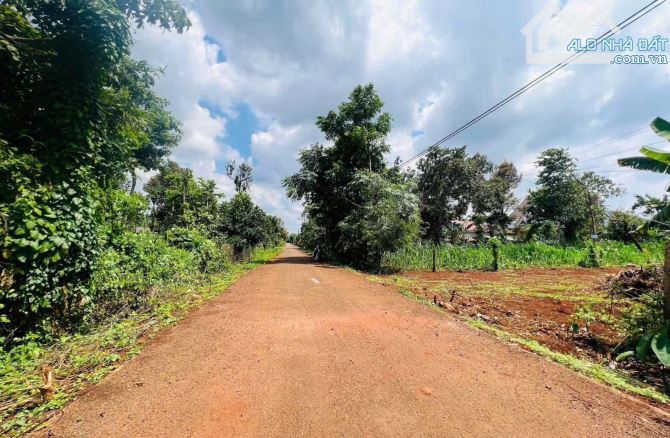 Bán đất hẻm cấp 1 Nguyễn xuân nguyên enao a giá tốt - 1