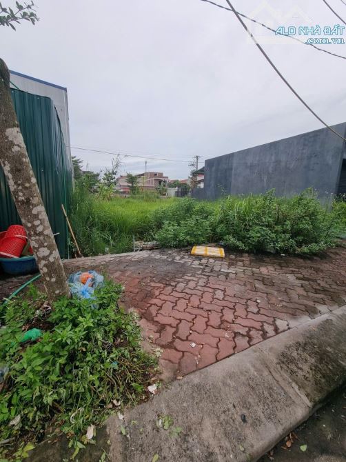 BÁN ĐẤT YÊN PHÚ YÊN MỸ HƯNG YÊN-PHÂN LÔ VỈA HÈ ĐẤU GIÁ-THÔNG-93M2-MT 6m-4,8 tỷ - 1