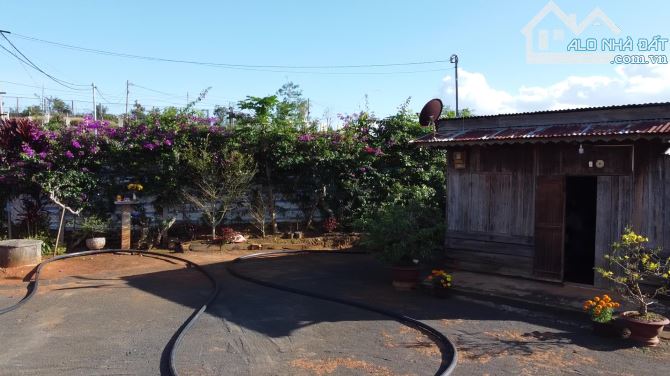 🏡 BÁN LÔ ĐẤT TẶNG NHÀ GỖ – VỀ Ở NGAY 🏡 chỉ hơn 1 tỷ - 1