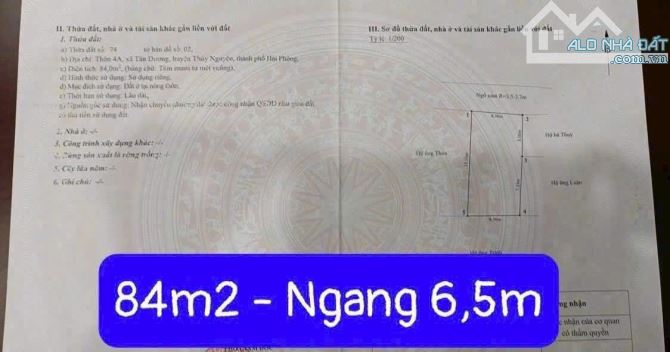🏡 CHÀO BÁN LÔ ĐẤT ĐẸP TẠI TÂN DƯƠNG – THỦY NGUYÊN - 1