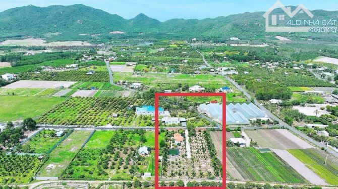 SIÊU ĐẸP - XÃ PHƯỚC HẢI -CÁCH BIỂN CHỈ 3KM-DT 1000M2 - Ngang 22m x45m -phủ hồng giá 3tyx - 1