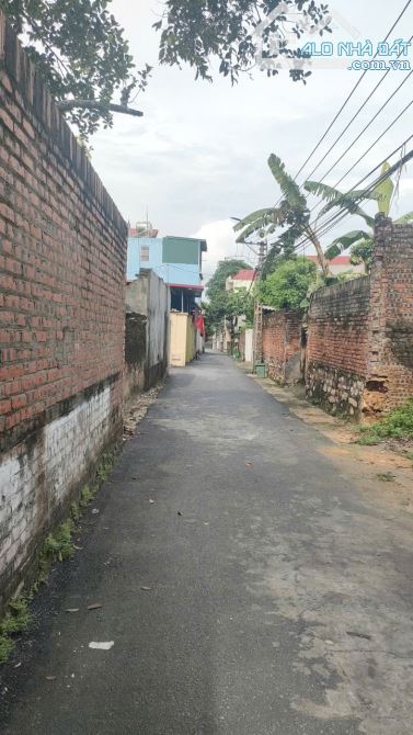 Bán lô đất cấp 4 Khắc Niệm-BắcNinh.dt.84m.mt.4,5m.hướng Bắc.giá:2,5 tỷ - 1