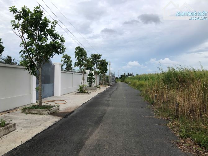 CHÍNH CHỦ bán nền thổ 1356m2 Phước Đông, Cần Đước, Long An - 1