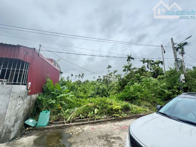 87m2 đất Lão Phong, Tân Phong, Kiến Thụy sát dự án khu thương mại, Logistic Kiến Hải - 12