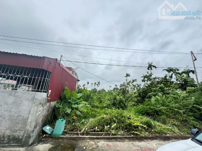 87m2 đất Lão Phong, Tân Phong, Kiến Thụy sát dự án khu thương mại, Logistic Kiến Hải - 15