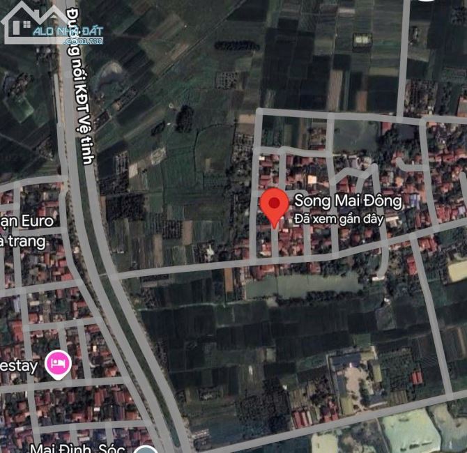 Bán đất tại Thôn Song Mai Đông, Xã Sóc Sơn, Hà Nội - 2