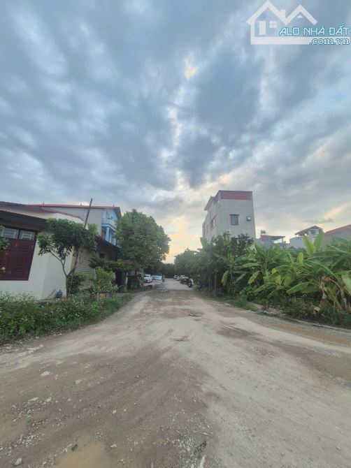 Bán đất đấu giá Xuân ổ B.dt.172m. mt.10,5m. hướng TN. giá:11,5 tỷ - 2